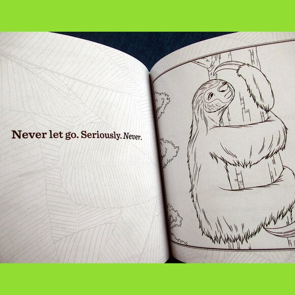 Book: Life Lessons from a Sloth, by Heneghan, Mills, & Sturgeon - Picture 5 of 13